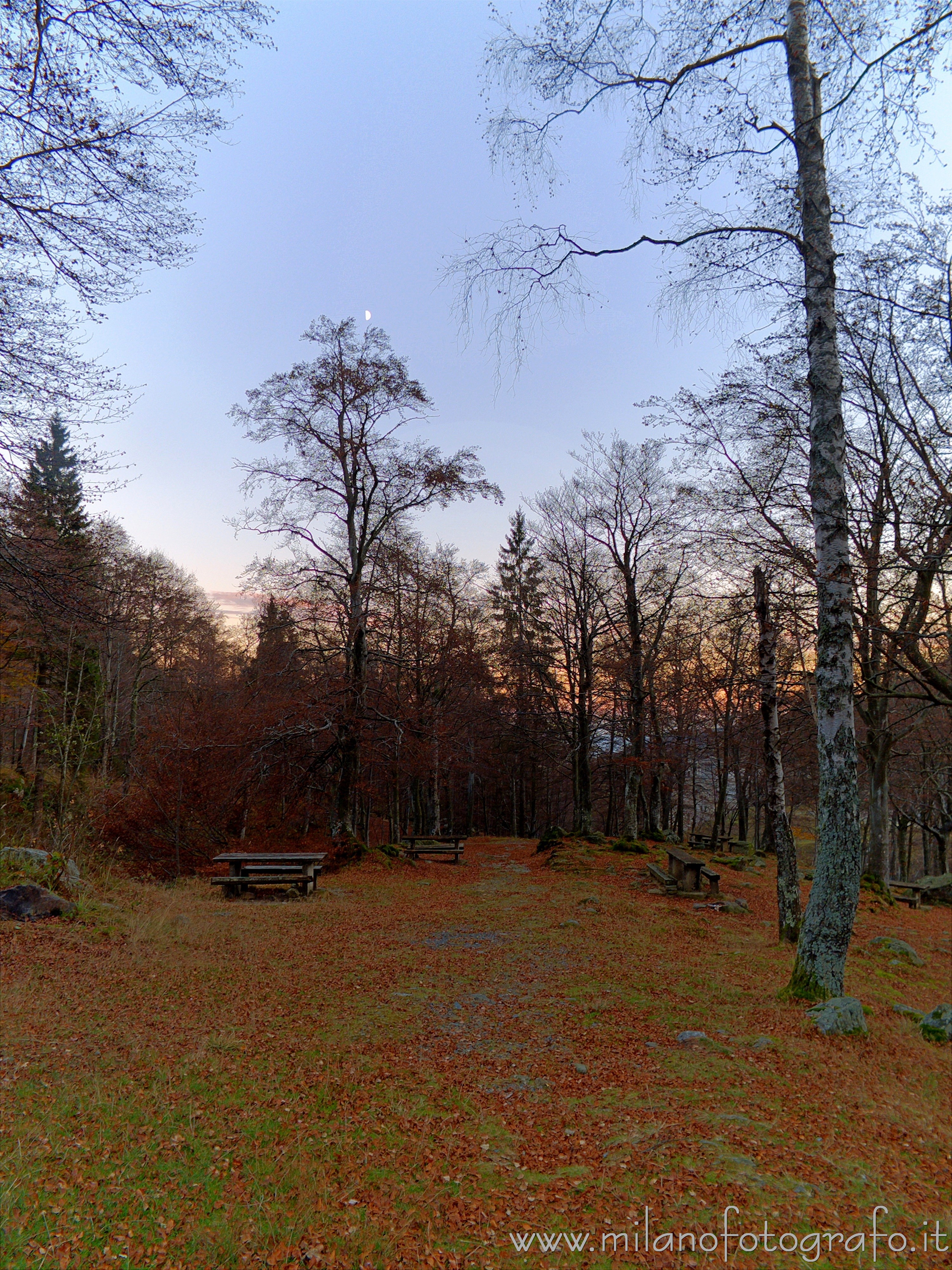 Biella (Italy) - Autumn clearing at darkening in the woods around the Sanctuary of Oropa