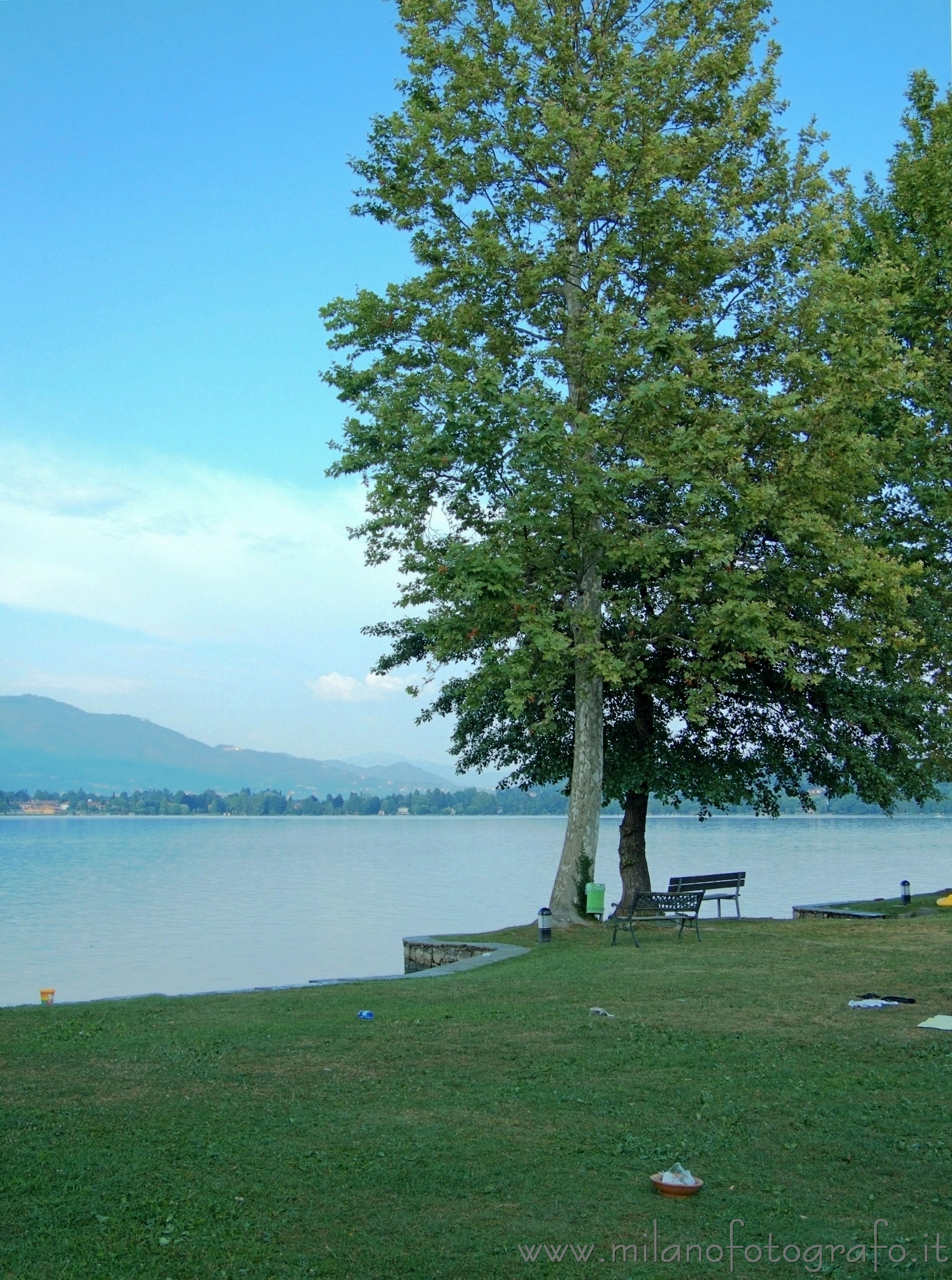 Cadrezzate (Varese): Albero davanti al Lago di Monate - Cadrezzate (Varese)