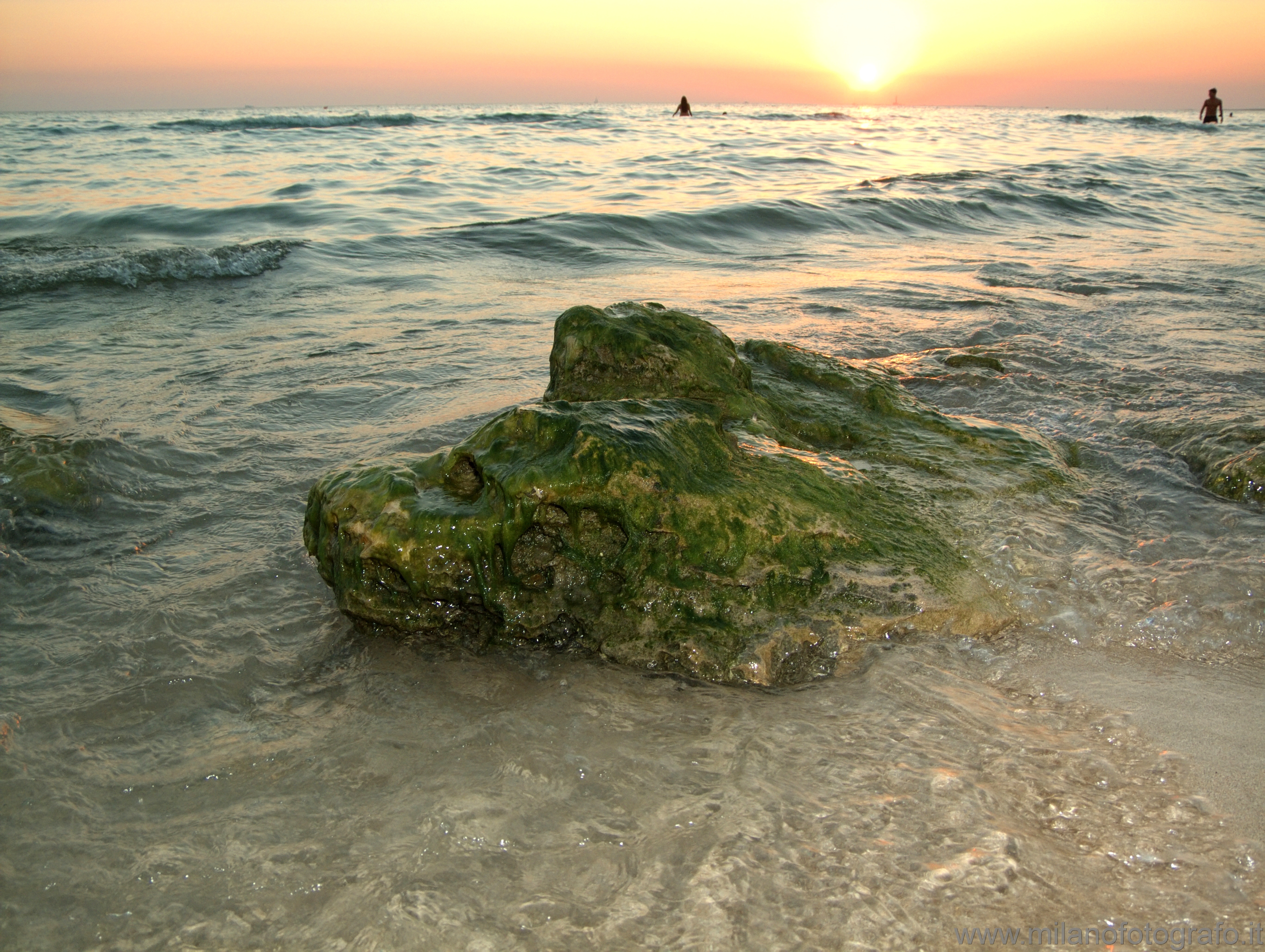 Baia Verde fraction of Gallipoli (Lecce, Italy) - Sunset with rocks covered with algae in the foreground