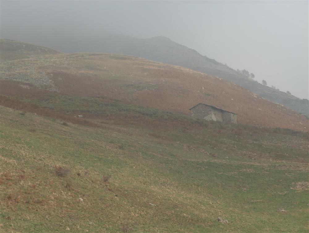 Bielmonte (Biella) - Prati di Bielmonte con nubi basse