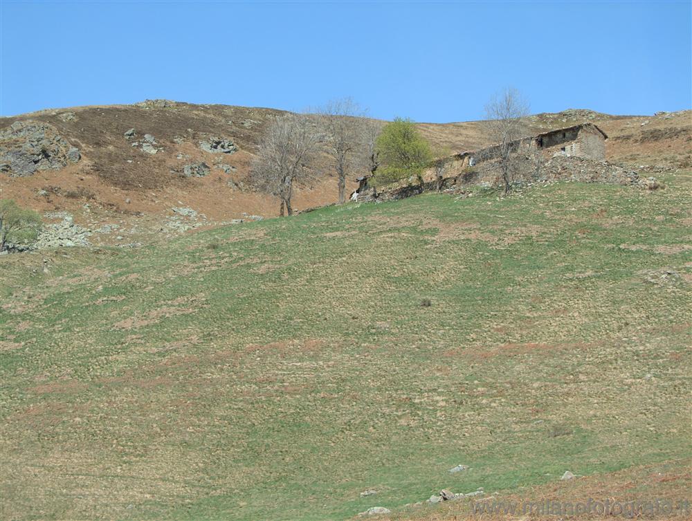 Bielmonte (Biella) - I primi versi della Primavera