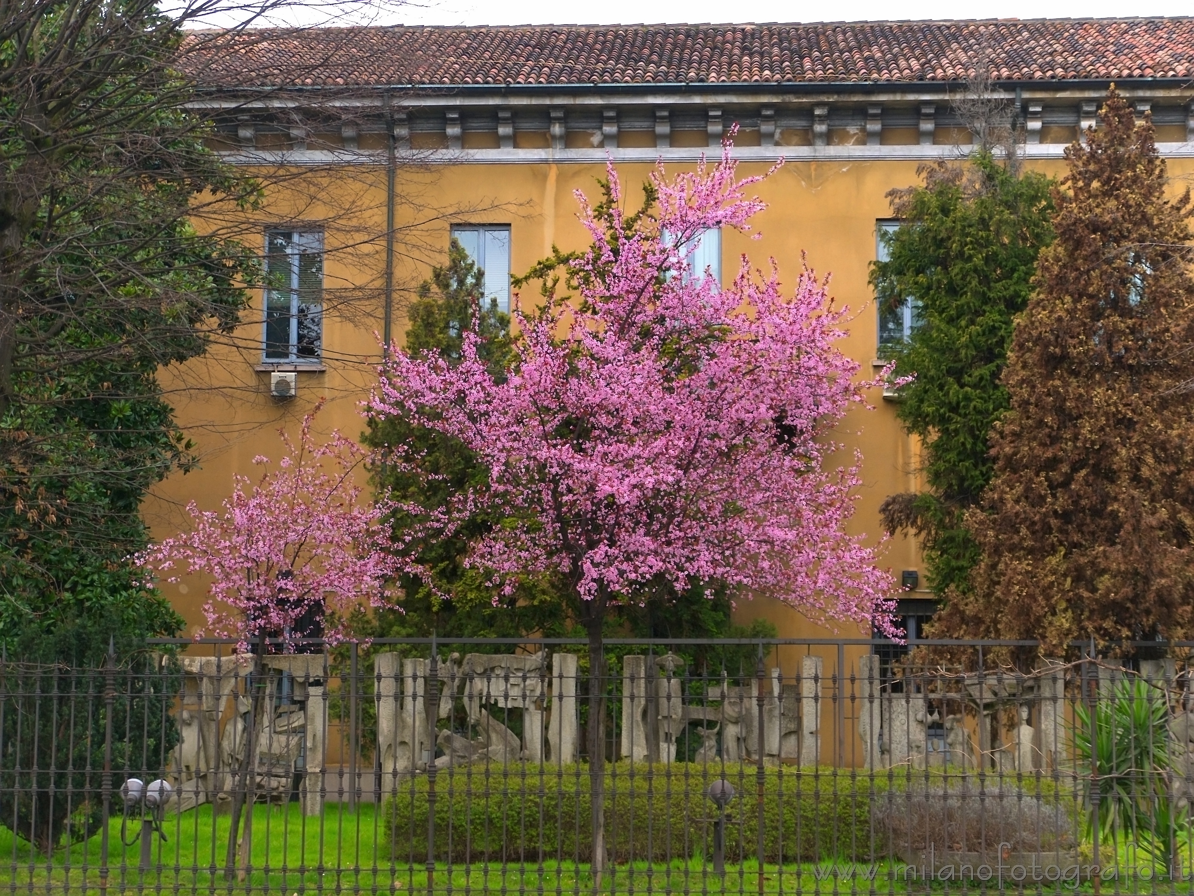 Milan (Italy): Spring colors in the city center - Milan (Italy)
