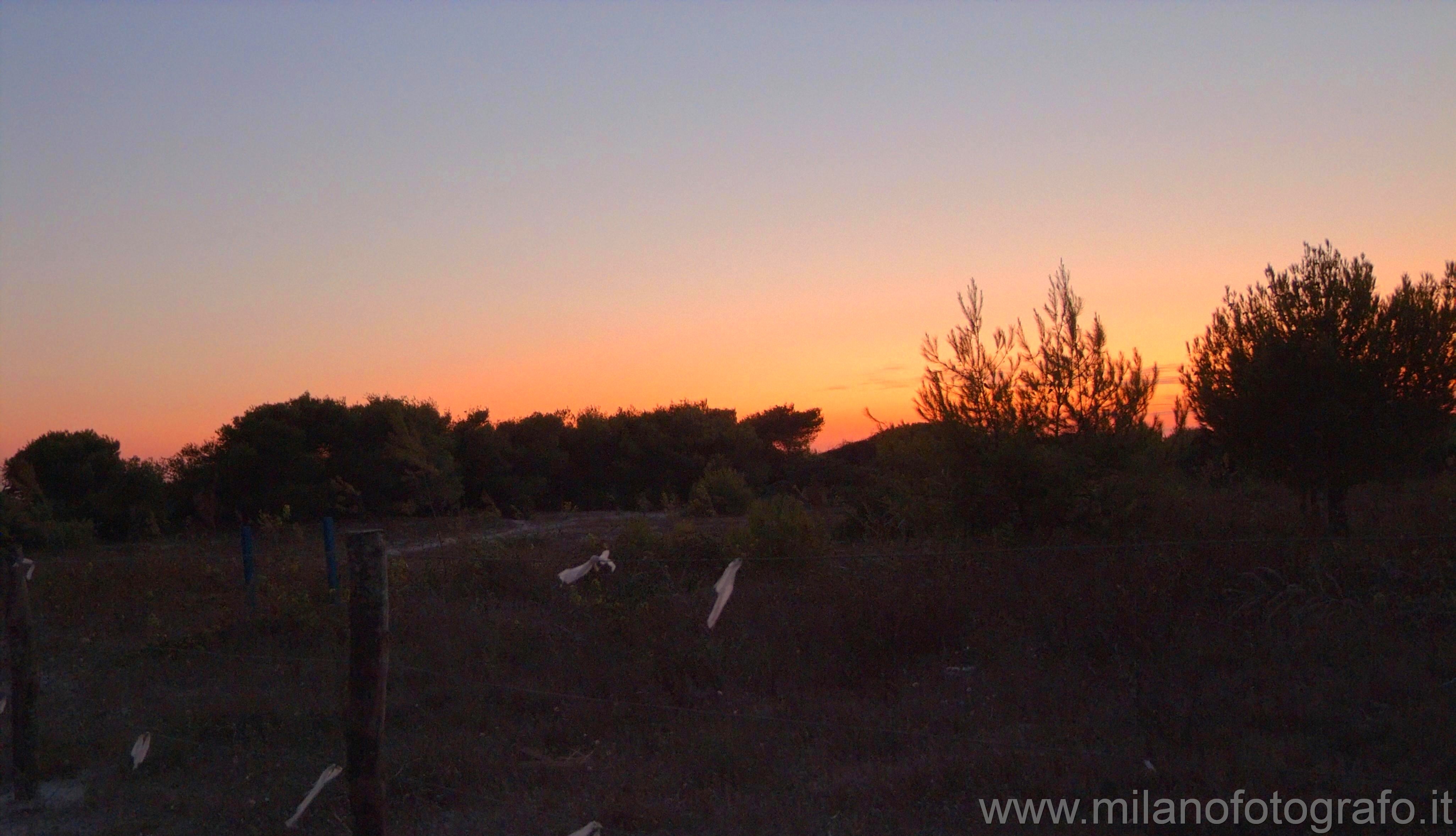 Torre San Giovanni (Lecce, Italy) - Dusk on the Mediterranean scrub