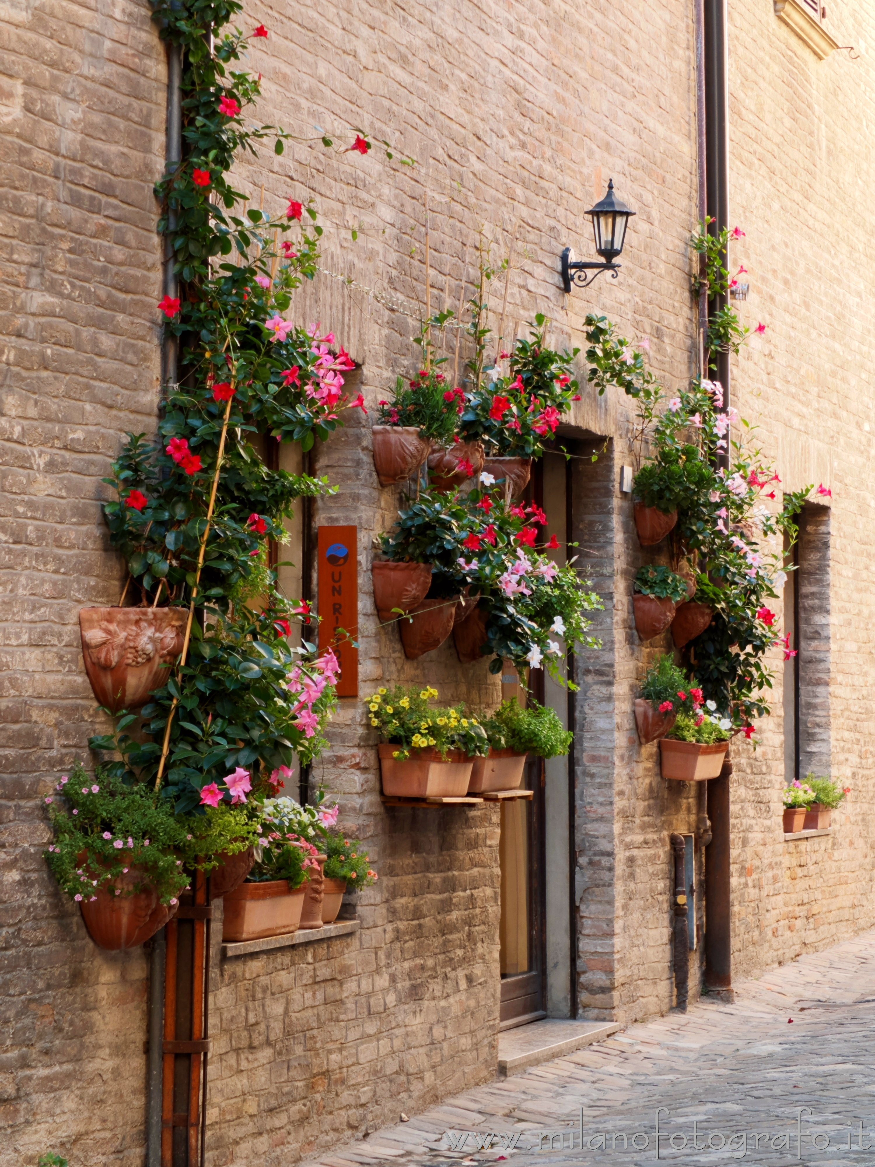 Fano (Pesaro e Urbino, Italy): Entrance of an old house of the historic center surrounded by flowers - Fano (Pesaro e Urbino, Italy)