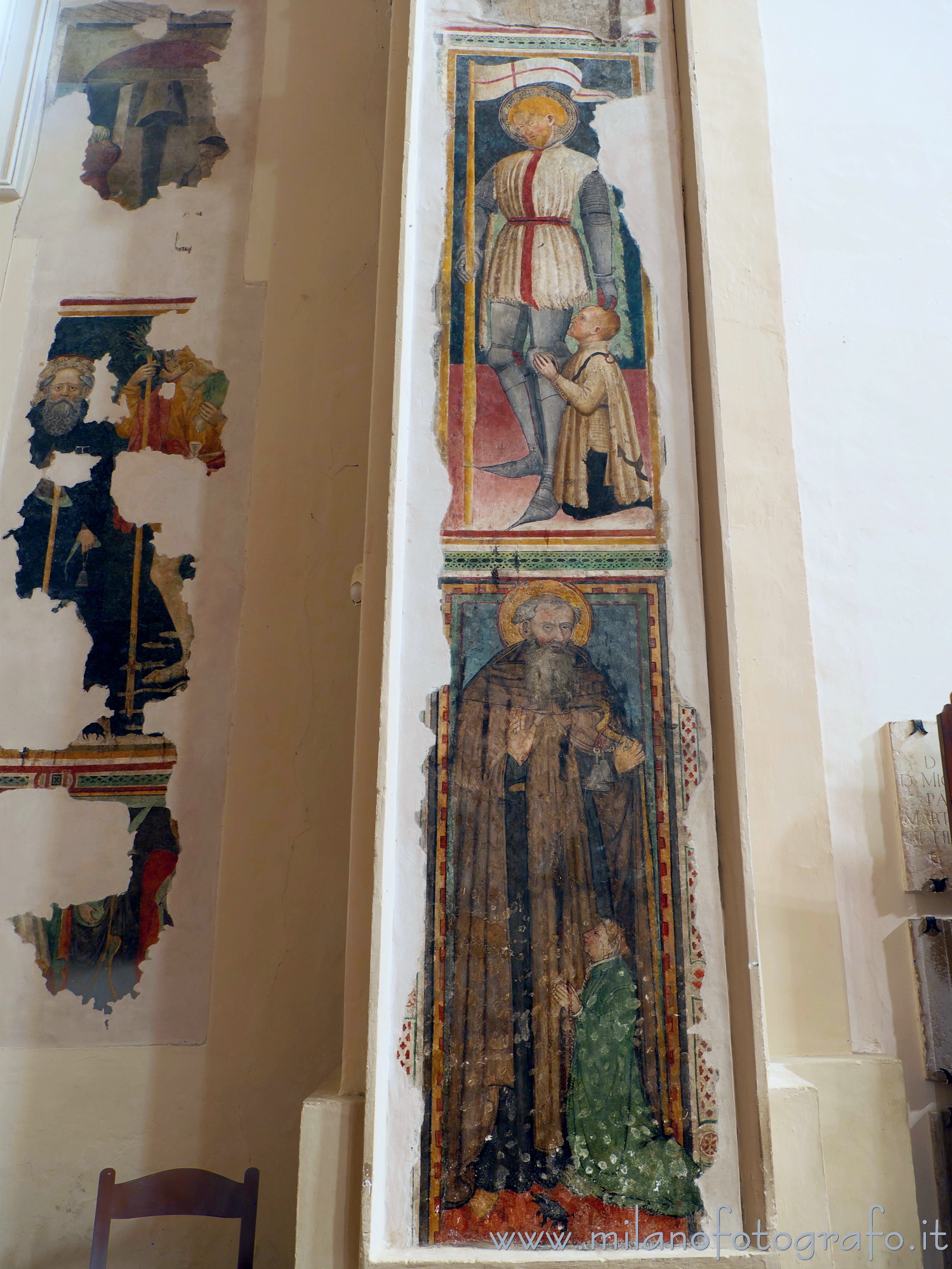 Pesaro (Pesaro e Urbino, Italy): Frescoes of St. Terence and St. Anthony Abbot in the Sanctuary of Our Lady of Grace  - Pesaro (Pesaro e Urbino, Italy)