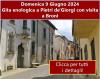 09/06/2024: Weinausflug nach Pietra de Giorgi und Broni -  Besuche an Orten der Kunst  Ess- und Trinkkultur