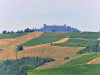 18-06-2023, Gita enologica a Pietra de Giorgi e Arena Po con degustazione presso la <a target='blank' href='http://www.giulioferraris.it/'>Giulio Ferraris SocietÃ  Agricola</a>: Picture 2