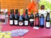 05-05-2024, Picnic enologico a Miradolo Terme con degustazione dei prodotti dell'<a href='https://www.viniguglielmini.com/' target='blank'>Azienda Agricola F.lli Guglielmini</a>: Foto 1