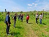 05-05-2024, Picnic enologico a Miradolo Terme con degustazione dei prodotti dell'<a href='https://www.viniguglielmini.com/' target='blank'>Azienda Agricola F.lli Guglielmini</a>: Foto 5