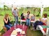 05-05-2024, Picnic enologico a Miradolo Terme con degustazione dei prodotti dell'<a href='https://www.viniguglielmini.com/' target='blank'>Azienda Agricola F.lli Guglielmini</a>: Foto 19