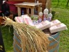 05-05-2024, Picnic enologico a Miradolo Terme con degustazione dei prodotti dell'<a href='https://www.viniguglielmini.com/' target='blank'>Azienda Agricola F.lli Guglielmini</a>: Foto 22